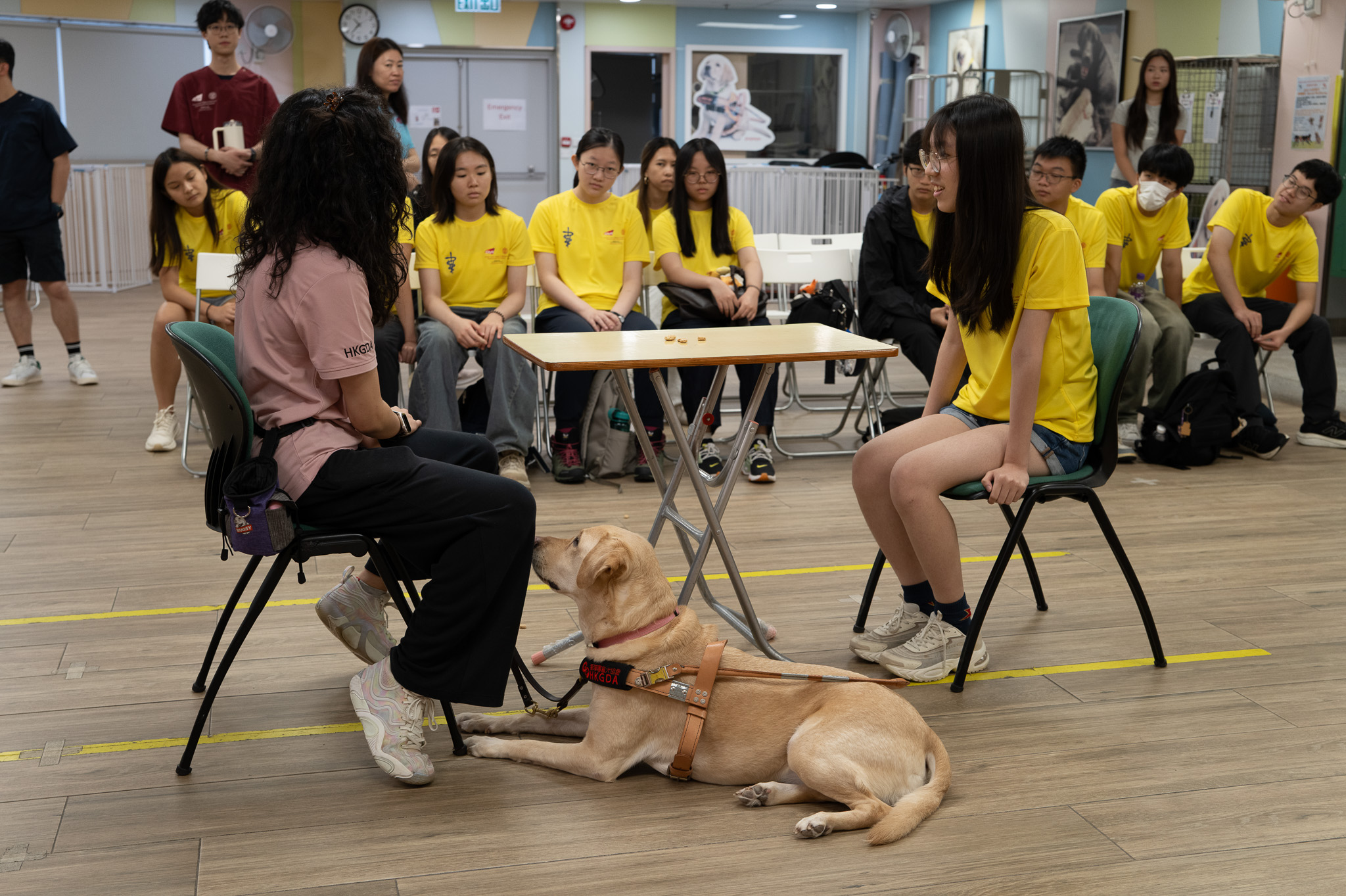 VIP_Photo 36